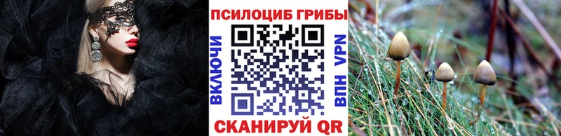 omg рабочий сайт  Владивосток  Галлюциногенные грибы Magic Shrooms 
